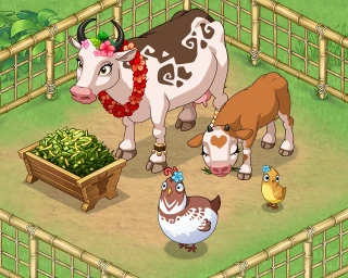 Cows and chickens grazing in a farm enclosure